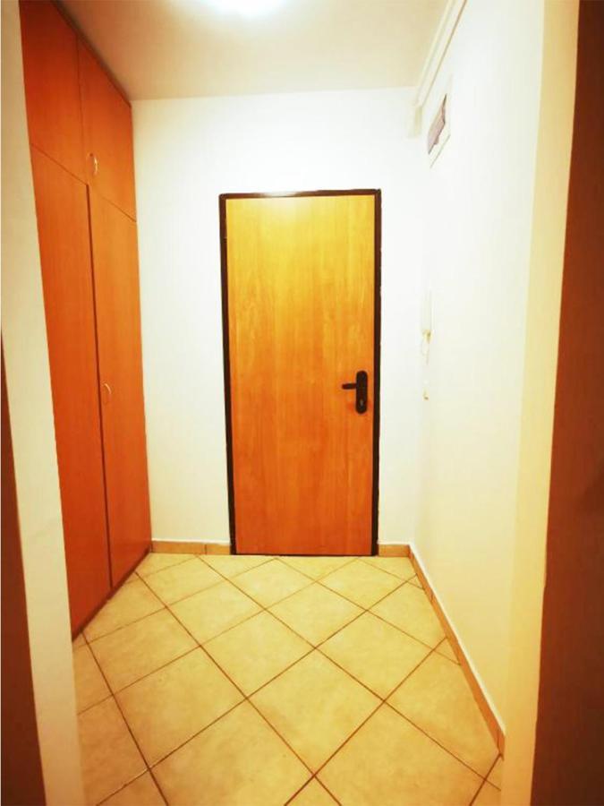 Monte Art Studio Sinaia